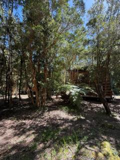 Cabañas Mountain Fox -Chilote - 8