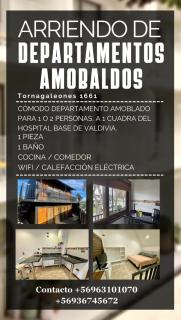 Departamento Valdivia - 1