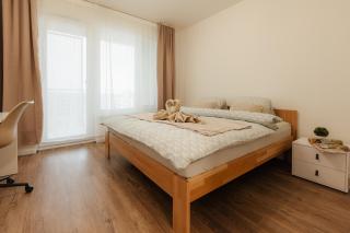 BNB Bory Retreat with Balcony and Parking space - 9