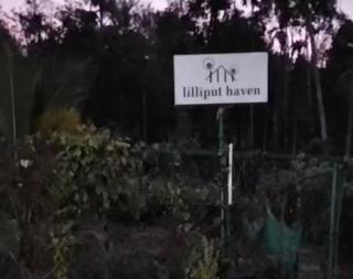 LilliputHaven Treehut - 8