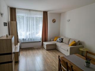 STRIM Apartment 406 Stream Resort, Pamporovo - 9