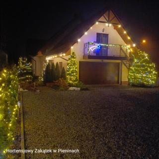 Hortensjowy Zakątek w Pieninach - 7