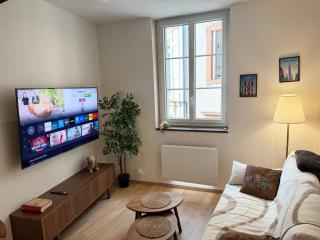 Appartement Puits-Clos - Quartier Capitole - 9