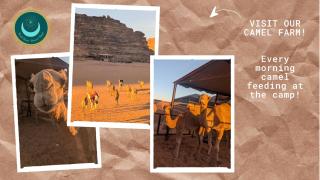 Desert Magic Camp & Resort - 9