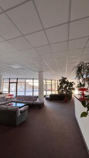 Cozy studio apartment (110) - 4