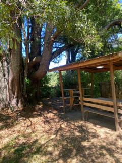 Camping fundo san pablo - 1