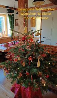 ALMNEST - LACHTAL - 7