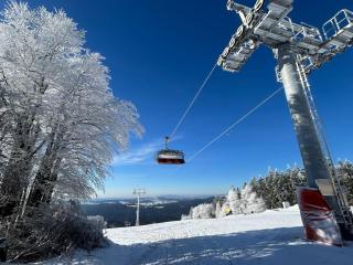 Aotearoa - Mountain apartment in Bavaria, Mitterdorf - Mitterfirmiansreut - 7