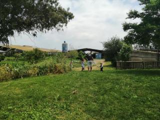 The corner in Sde Ilan - 1