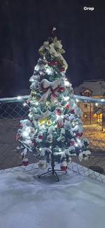 Apartmani Visnja - 6