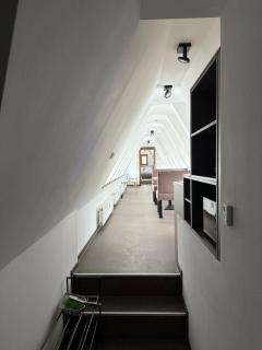 Arnika Hrabětice - 5