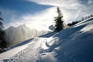 Hotel Gasthaus Schäfle - 7