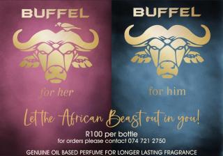 Hallensteins Guesthouse Britstown - 5