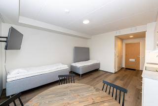 Cozy apartment for three by the ski trails - 5