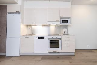 Cozy apartment for three by the ski trails - 1