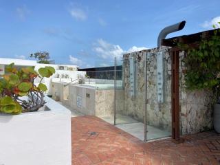 Virrey Luxury Aparments in Ciudad Amurallada - 6