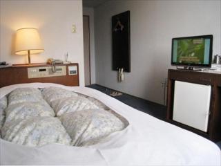 Hotel Higashihiroshima Hills Saijo - 8