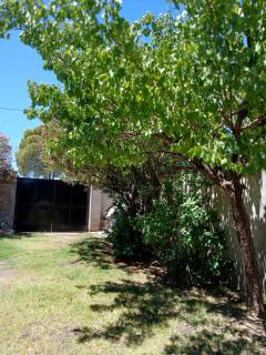 Departamento en Cinco Saltos - 4