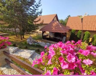 Tara Apartmani Malešević - 2 - 5