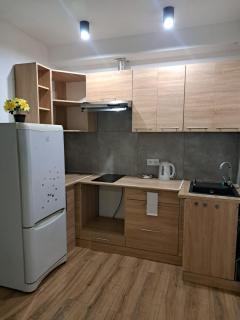 Apartamenty Ścinawa - 8