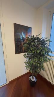 Maison70, Pesaro - 8