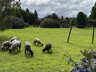 Departamento tranquilo y equipado en parcela privada, cerca de comercios - 7