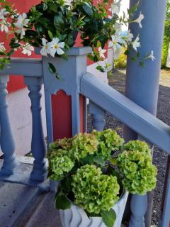 Pension Pale' Bach - Bad Hersfeld - 3