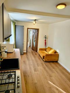 Flaviu's Central Park apartment with Garden - 6