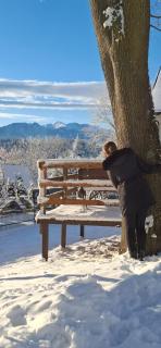 Dom Tatrzański Widok - 6