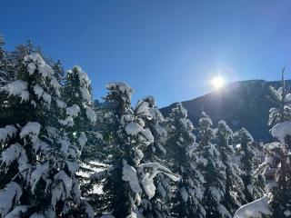 MiraOdle Apartments - 1