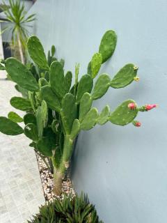 Aonang Peace Pool Villa - 4