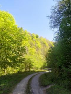 Casona de Gómez y Terán - 2