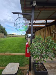 The Prickly Pear - 3