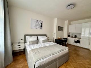 Apartmán U Smaltovny 27 - Praga - 6