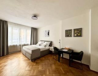 Apartmán U Smaltovny 27 - Praga - 8