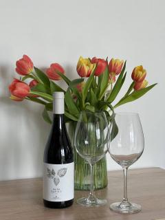 Lust&Desire BDSM Krakow Suite - 6