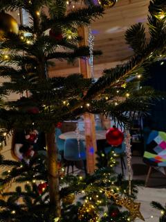 Ushguli Highland Cottage - 3