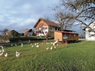 Ferienhof Kornmayer - 8