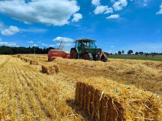 Ferienhof Kornmayer - 6