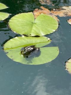 4-Bedroom Chateau in Southern Washington- Luxurious Retreat with Pond & Creek - 4