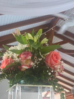 Les Villas de Boisvin - Le Moule - 5