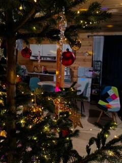 Ushguli Highland Cottage - 8