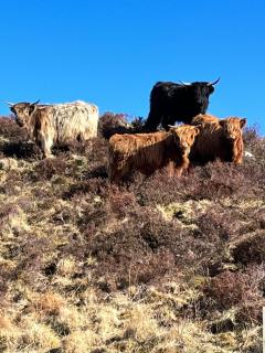 Bonnie Brae Croft Bothies - 9