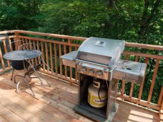 Superb views and literally 2 min walk to resort ! - 6