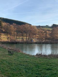 Ferienhaus Brigitte - Schönecken - 8