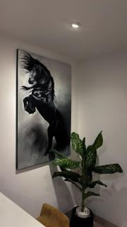 Goldcrest Mall One Bedroom Family Apartment - 2