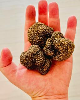 Villa Yucca - B&B and Glamping - 3