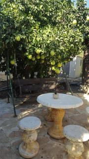 בקתת העץ של מירה ואמיר - 4