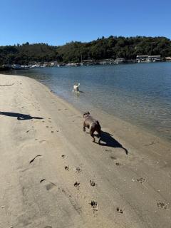 Apartamento pé na areia - 8