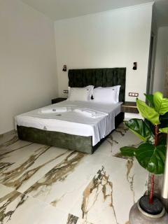 B&B Lofts Thassos - 9